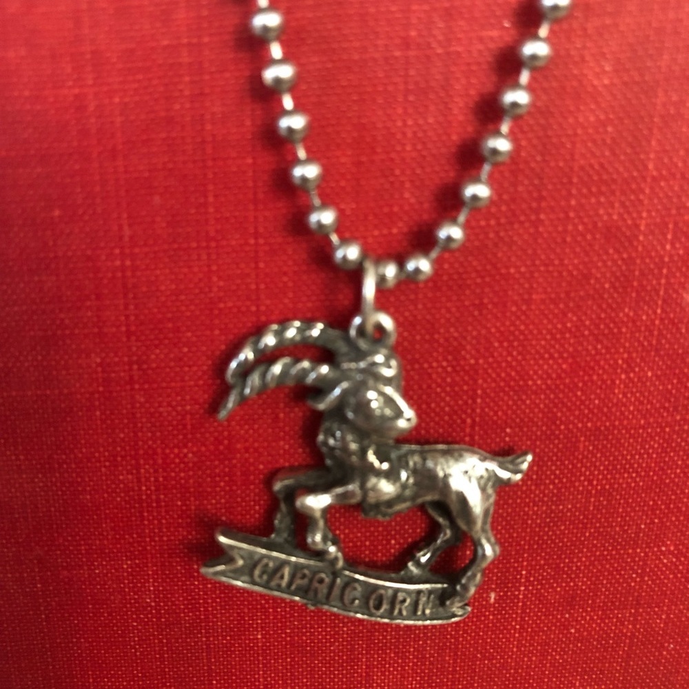 Vintage NOS Capricorn Zodiac Necklace Stainless 24